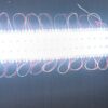 3 led module 1.8 watt impex plus - Image 7